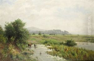 Moor Im Voralpenland by Heinrich Ludwig Frische