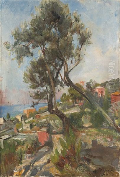 Ulivi - view 1