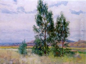 Landscape, Queensland Landscape, Queensland