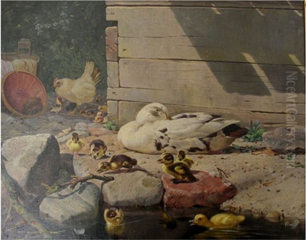 Poultry With Chicks - view 1