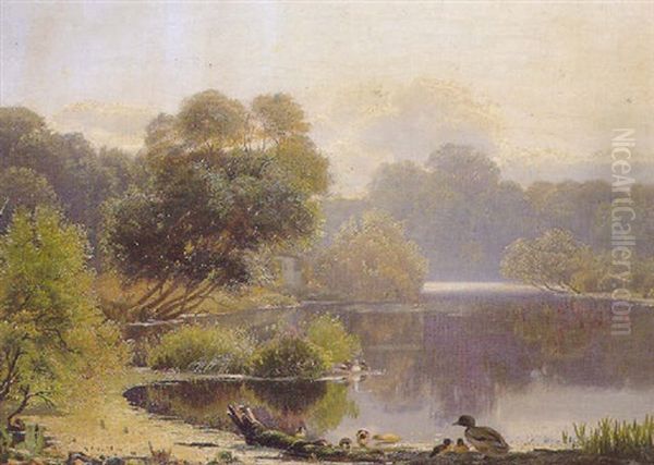 A Family Of Ducks At The Edge Of A Lake - view 1