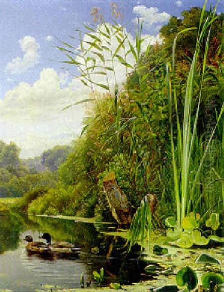 Ducks In The Reeds - view 1