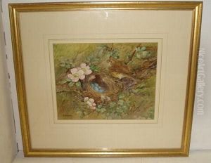 Birds Nest And Flowers by Reginald Harry Austin