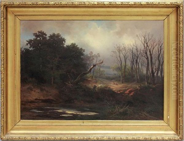 Waldlandschaft Nach Regen Im Herbst - view 1