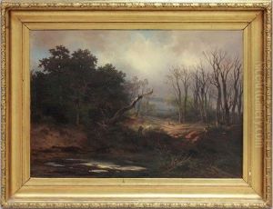Waldlandschaft Nach Regen Im Herbst