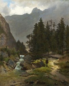 Promeneurs Au Bord Du Cascade Dans Les Alpes
