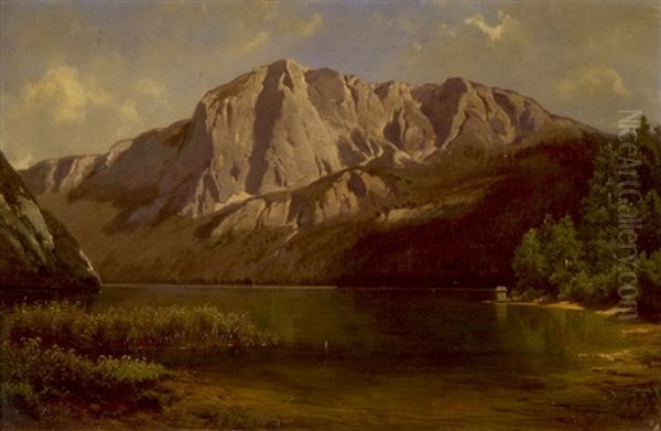 Idyllisches Ufer Am Bergsee - view 1