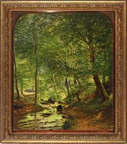A Clearing In Marselisborg Forest - view 1