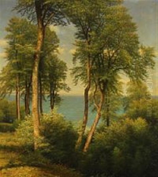 Forets Scene With Sea View At The Bay Of Aarhus - view 1