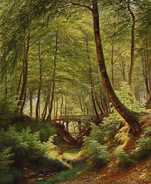 Baeklob Mellem Skovbakkerne - view 1