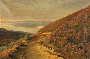 Hilly Landscape At The Lakes Of Silkeborg With Flowering Heather