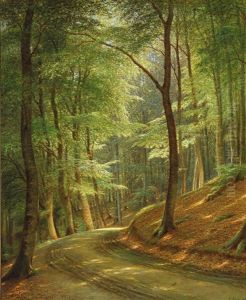 Forest Road
