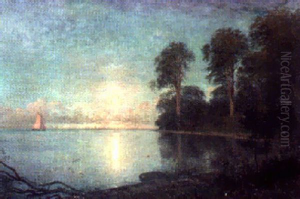 Marselisborg By Moonlight - view 1