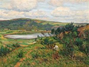 Landscape Landscape