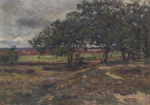 Sommerlandschaft - view 1