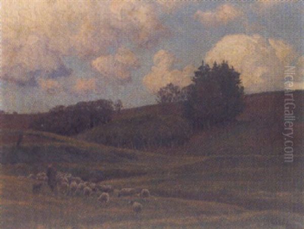 Hirte Mit Schafherde In Hugeliger Landschaft - view 1