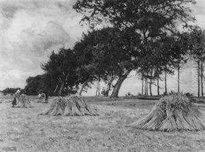 Sommerlandschaft Mit Kornernte