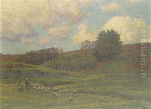 Hirte Mit Schafherde In Hugeliger Landschaft - view 1