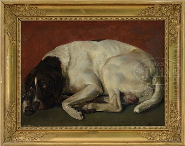 Portrait Of A Hunting Dog - view 1