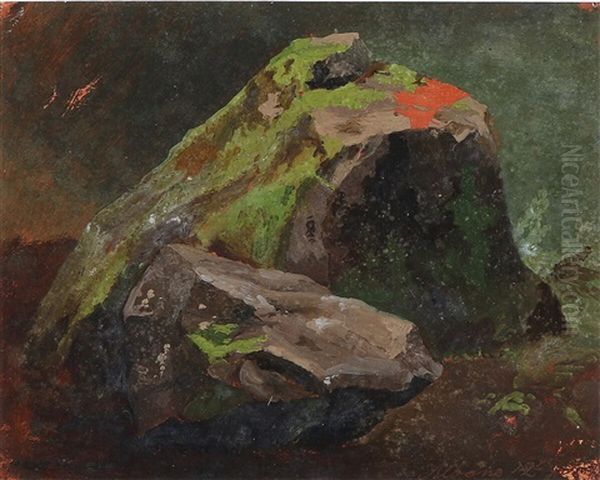Rocks Covered In Moss - view 1