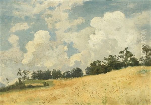 Kornfeld - view 1