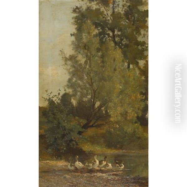 Sommerliche Weiherlandschaft Mit Gansen - view 1