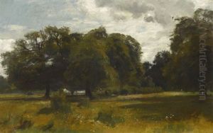 Sommerliche Wiese Am Waldrand