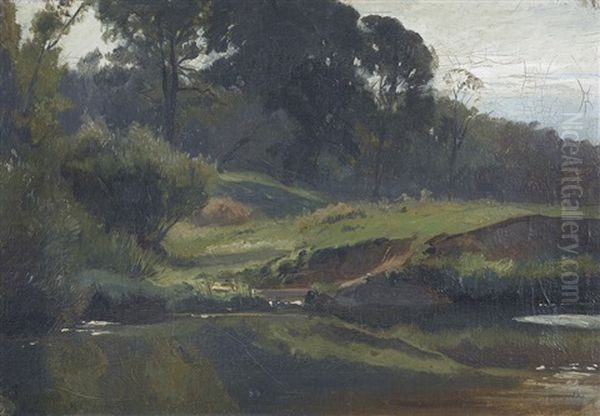 Sommerliche Bachlandschaft - view 1