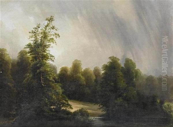 Waldlandschaft Am Fluss - view 1