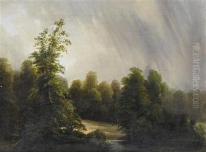 Waldlandschaft Am Fluss