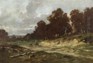 Herbstlandschaft Mit Waldsaum Und Wolkenverhangenem Himmel Herbstlandschaft Mit Waldsaum Und Wolkenverhangenem Himmel