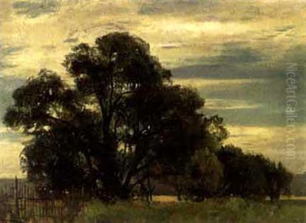 Baumlandschaft - view 1