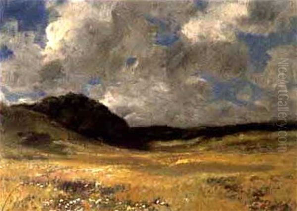 Bergwiese Mit Wolkenhimmel - view 1