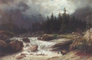 Wilde Alpenpartie Mit Reissendem Gebirgsbach Wilde Alpenpartie Mit Reissendem Gebirgsbach