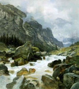 Der Schachenbach Der Schachenbach