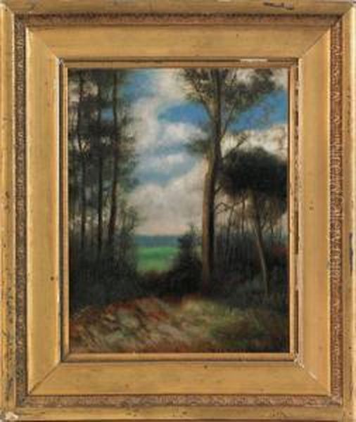 Landscapes - view 1