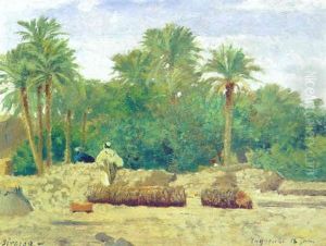 Dans L'oasis De Laghouat