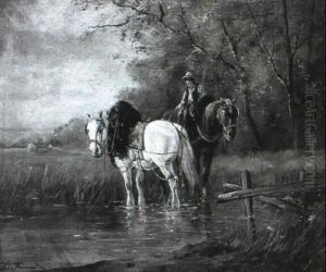 Boy Watering Work Horses