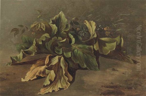 Study Of A Plant - view 1
