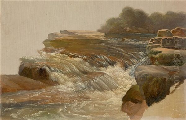 Rapids In Murg Near Forbach - view 1