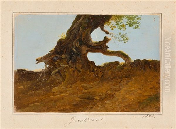 Studie Eines Baumstamms - view 1