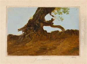 Studie Eines Baumstamms by Carl Ludwig Frommel