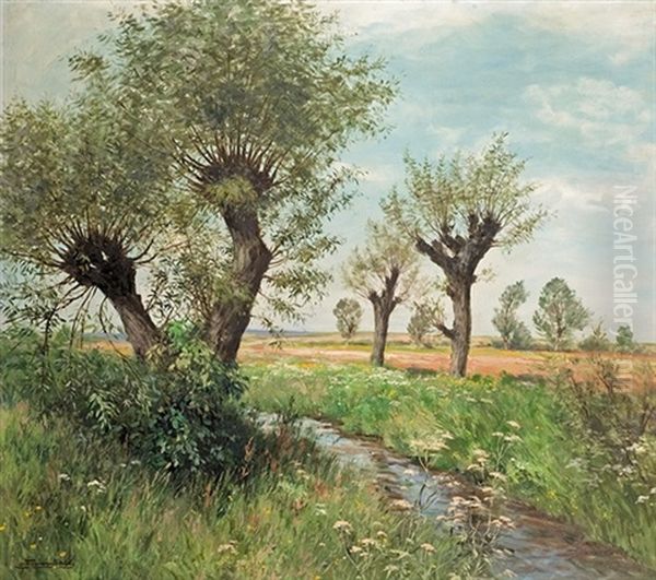 Willows Over The Stream - view 1