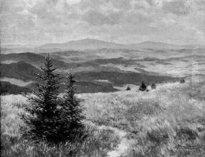 Sommerliche Mittelgebirgslandschaft by Ernst Frommhold