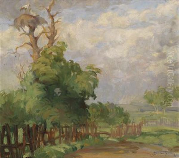 Scenery With A Stork's Nest In A Tree - view 1