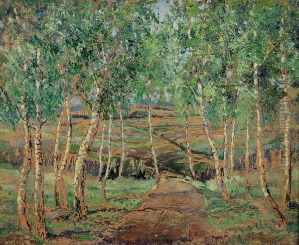 Path Through A Birch Grove - view 1