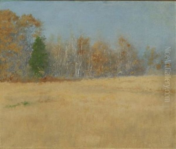Autumn Meadow - view 1