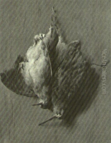 Hanging Woodcocks - view 1