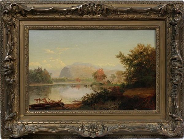 Landscape - view 1
