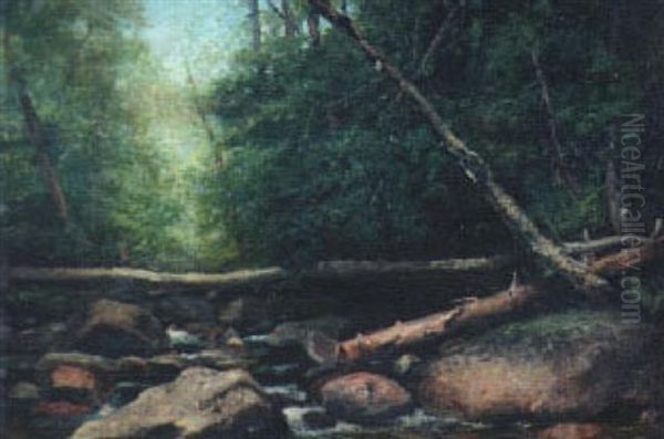 Logs Over A Forest Stream - view 1